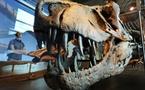 Au pays des dinosaures, le tyrannosaure était bien le roi de la morsure
