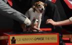 Uggie, le chien de "The Artist", laisse ses empreintes à Hollywood