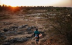 Dans les campagnes sud-africaines, ce très lointain coronavirus...