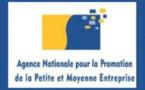 L’Agence nationale pour la promotion de la petite et moyenne entreprise