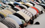 Profanation de la mosquée de Montauban: deux têtes de cochon déposées à l'entrée