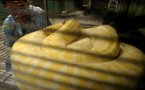Un python femelle géant rempli de 87 oeufs retrouvé en Floride
