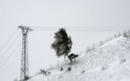 Intempéries: 8.500 foyers encore privés d'électricité en Rhône-Alpes