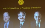 Le Nobel de médecine à deux Américains et un Allemand