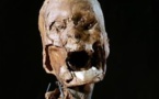 Une analyse ADN remet en question l'authenticité de la tête d'Henri IV