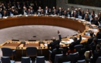 Syrie: l'Onu adopte à l'unanimité une résolution sur un plan de paix