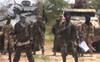 Cameroun : L’armée neutralise des mines plantées par Boko Haram (source militaire à Anadolu)