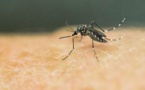 Un cas de Zika déclaré en Thaïlande