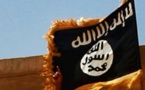 Syrie: l'EI capture un pilote syrien dont l'avion s'est écrasé