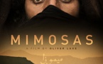 Le film marocco-franco-espagnol "Las Mimosas " remporte le grand prix de " La semaine de la critique " du 69è festival de Cannes
