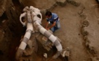Un mammouth vieux de 14.000 ans sort de terre au Mexique