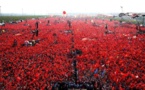 Istanbul: Près de 5 millions de personnes au meeting "Démocratie et Hommage aux martyrs"